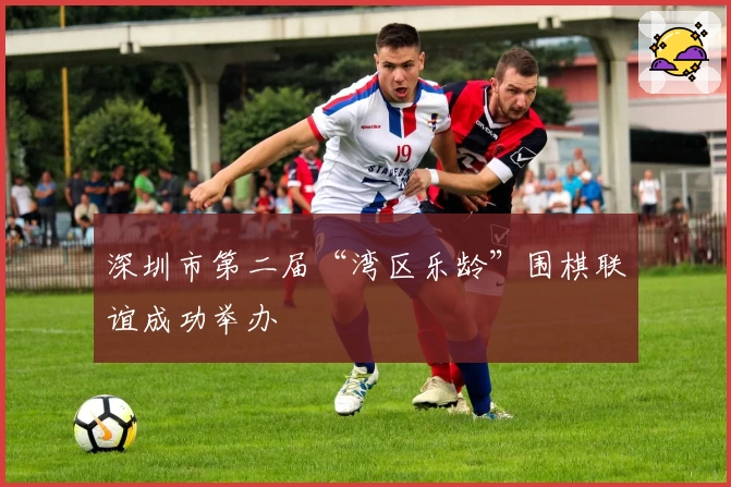 深圳市第二届“湾区乐龄”围棋联谊成功举办