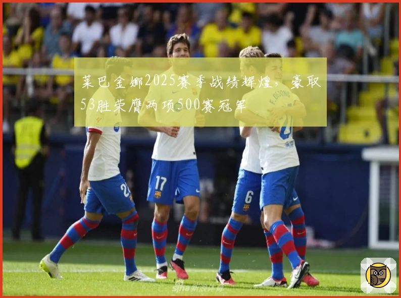 莱巴金娜2025赛季战绩辉煌，豪取53胜荣膺两项500赛冠军