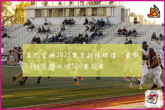 莱巴金娜2025赛季战绩辉煌,豪取53胜荣膺两项500赛冠军