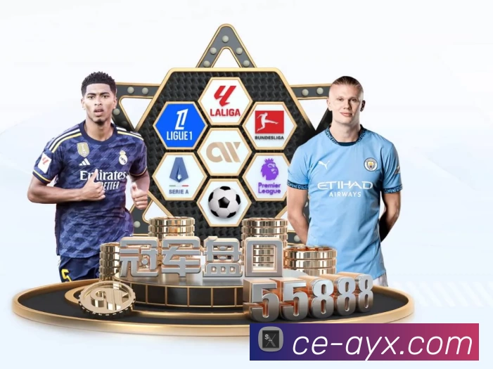 体育平台欢迎图